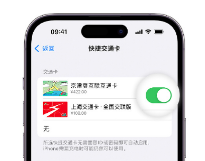 汶川apple维修点分享iPhone上更换Apple Pay快捷交通卡手绘卡面 