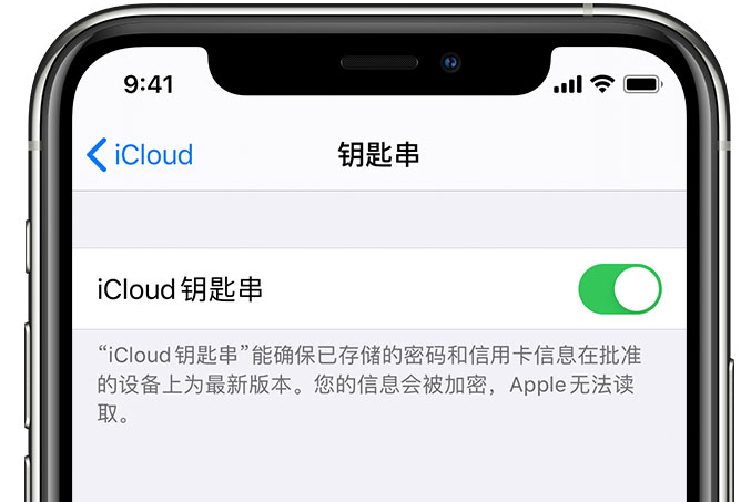 汶川苹果手机维修分享在 iPhone 上开启 iCloud 钥匙串之后会储存哪些信息 